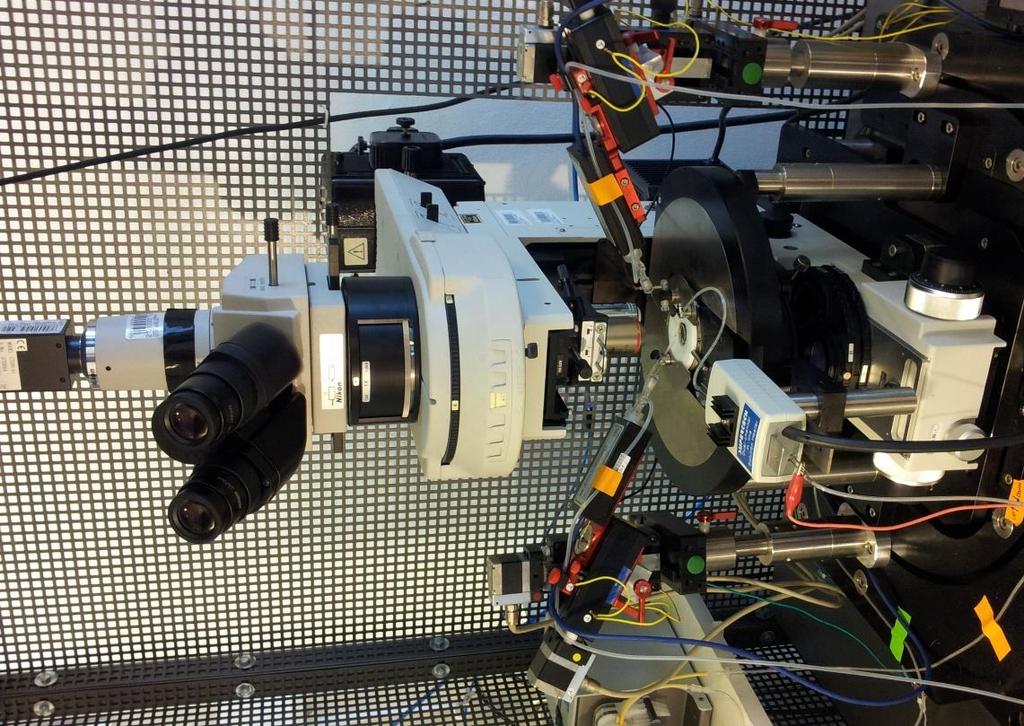 A patch-clamp