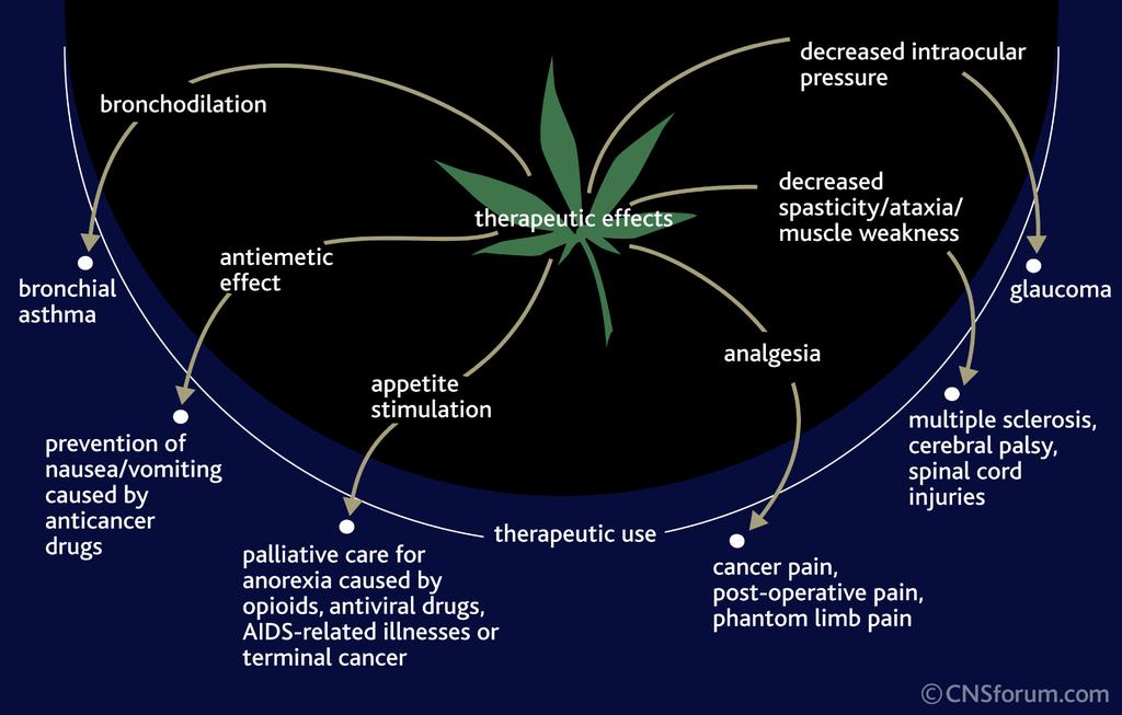 A kannabisz