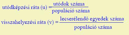 A VL2 delta-gráfban mindig terminál. Ha létezik a mélységi korlátnál nem hosszabb megoldás, akkor megtalál egy megoldást. 2. Mikor nevezünk egy gráfkeresõ algoritmust szélességi keresésnek?