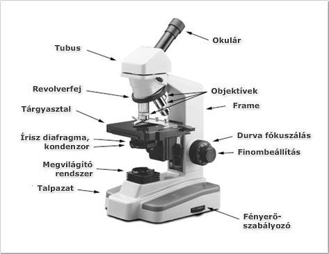 Mikroszkópos gyakorlatok Biológia 7. Szaktanári segédlet - PDF Free Download