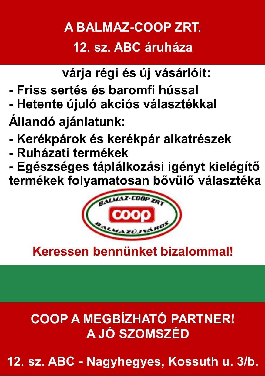 Felelős kiadó: Nagyhegyes Község Önkormányzata, Bajusz Istvánné polgármester -
