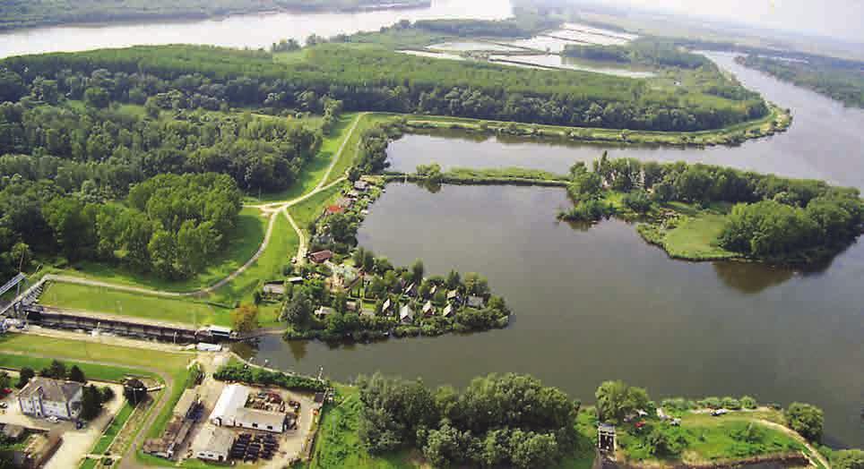 most is, a feliszapolódott állapotukban is 2000 kg fölött szoktak termelni!