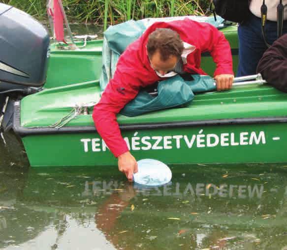 tosítható gravitációs úton, az év többi részében vagy költséges szivattyús ellátás történik, vagy friss vízellátási hiánnyal küszködünk.