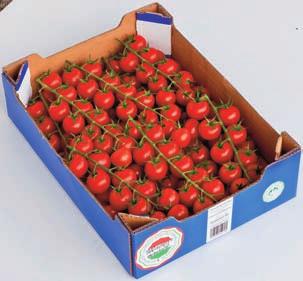 répa 100 g/tálca 429,- 699,-