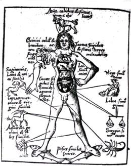 2. kép: Érvágó-figura a zodiákus jegyekkel 105 9. Házi Patika (1663 k.) (HP) (Oct. Hung. 485; 52 levél) A kézirat a házi mindeneskönyvek közé sorolható. Egy kéz írása, szerzője ismeretlen.