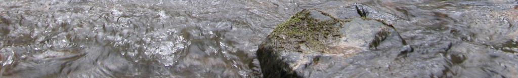 A Fertő Hanság Nemzeti Park Igazgatóság működési területén csak a Szigetközből (Mosoni-Duna, Öntési-Duna-ág) sikerült kimutatni a faj jelenlétét, az