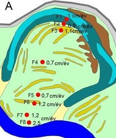 mederperemen (90 cm) 0,58 cm/év volt ez az érték, míg a folyóháton mindössze (50 cm) 0,32 cm/év, tehát itt a magassággal egyenletesen csökkent a felhalmozódás mértéke.
