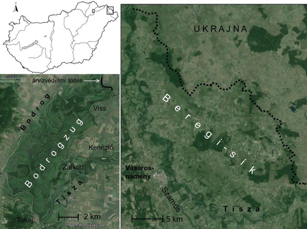 3. BEREGI-SÍK- ÉS A BODROGZUG TERÜLETÉT ÉRINTŐ FLUVIÁLIS HATÁSOK ÁTTEKINTÉSE A Beregi-sík természetes határok által közrefogott 1126 km 2 kiterjedésű területének délnyugati 556 km 2 -es része