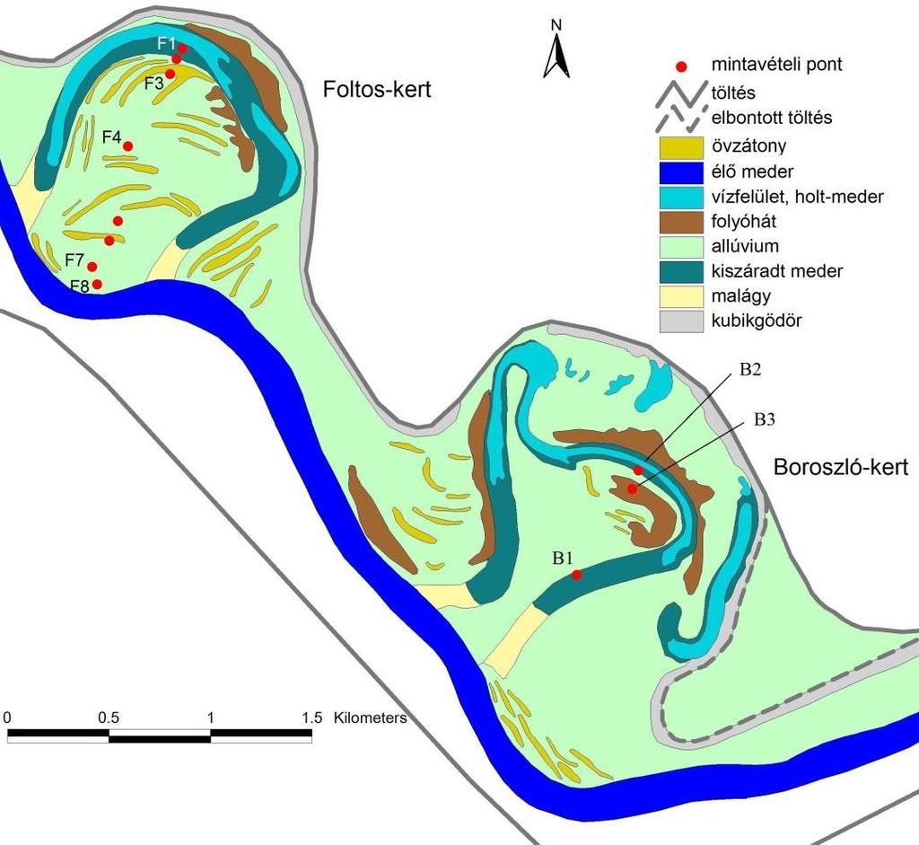 24. ábra. A Boroszló-kert és a Foltos-kert geomorfológiai vázlata 3. táblázat. A mintavételi pontok magassága és a Tiszától mért távolsága.