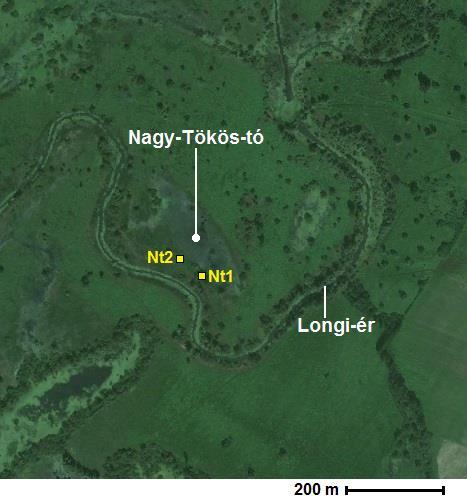 33. ábra. A Nagy-Tökös-tó légifelvétele és a mintavételi pontok helyzete. 4.4.1.3. Magasabb helyzetű formaszegény felszínek Favágó-szállás (25. ábra. 9) A Fekete-tó délnyugati, 95 m tszf-i magasságú sík folyóhátján fekvő Favágó-szállás teljesen sík felszínén kaszáló gazdálkodás folyik évi egyszeri betakarítással (25-34.