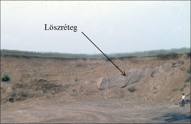 1993). A tartósan vízállásos, vagy mocsaras területeken felhalmozódó infúziós löszök kialakulását mint amilyen a mátyusi is lehet Pécsi (1993) a felső pleniglaciális középső időszakára teszi.