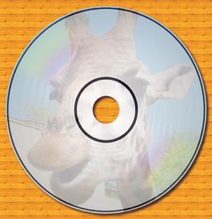 SZOFTVER GRAFIKAI TIPPEK IV. [Ctrl V] a Paint Shop Próban); a nagyobbak esetében a kiválasztott darabot mentsük el a File Save Frame As mûvelettel.
