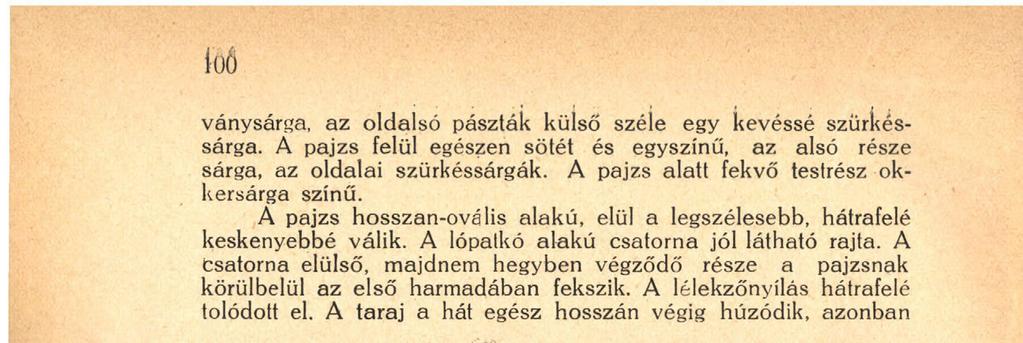 A lélekzőnyílás hátrafelé tolódott el. A taraj a hát egész hosszán végig húzódik, azonban 3-4. ábra.
