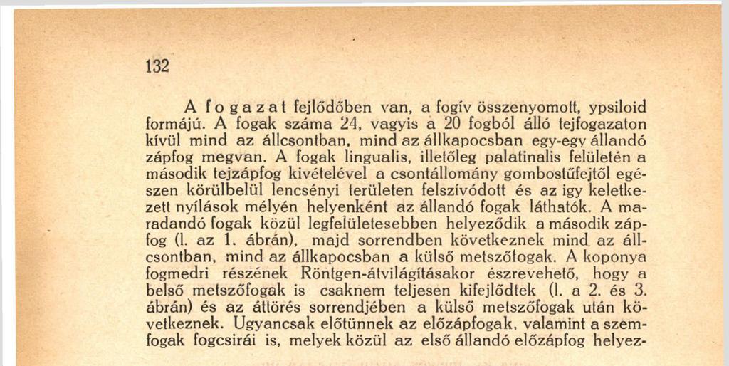 ábrán) és az áttörés sorrendjében a külső metszőfogak után következnek. Ugyancsak előtűnnek az előzápfogak, valamint a szemfogak fogcsirái is, melyek közül az első állandó előzápfog helyez- 1. ábra.