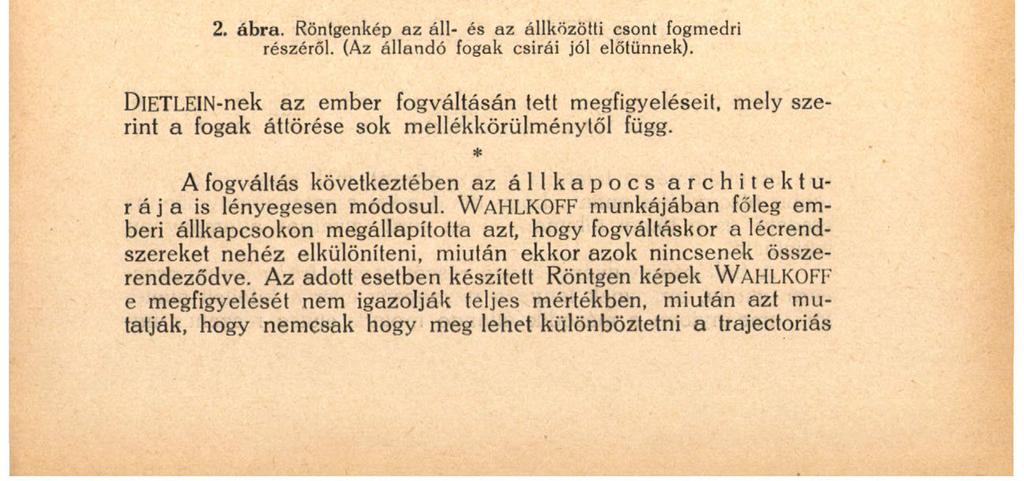 133 váltódnak ; valószínű, hogy az előbbiek előbb az állcsontban, majd az első és második előzápfog és végül a szemfog, illetőleg a harmadik