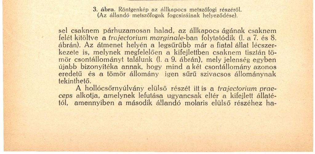 134 rendszereket, hanem leszámítva azt, hogy más lefutásűak, sokkal áttekinthetőbbek.