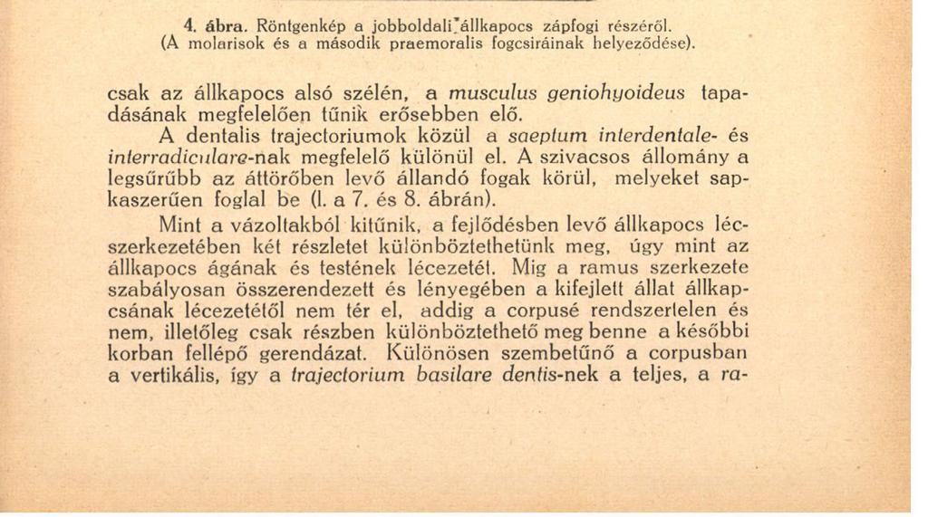 135 lad és a fogmedrek alá folytatódó pars denlalis hiányzik (1. a 7. és 8. ábrán).