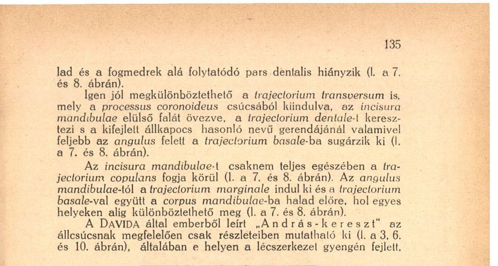 ábrán), általában e helyen a lécszerkezet gyengén fejlett, 4. ábra. Röntgenkép a jobboldali'állkapocs zápfogi részéről. (A molarisok és a második praemoralis fogcsiráinak helyezödése).