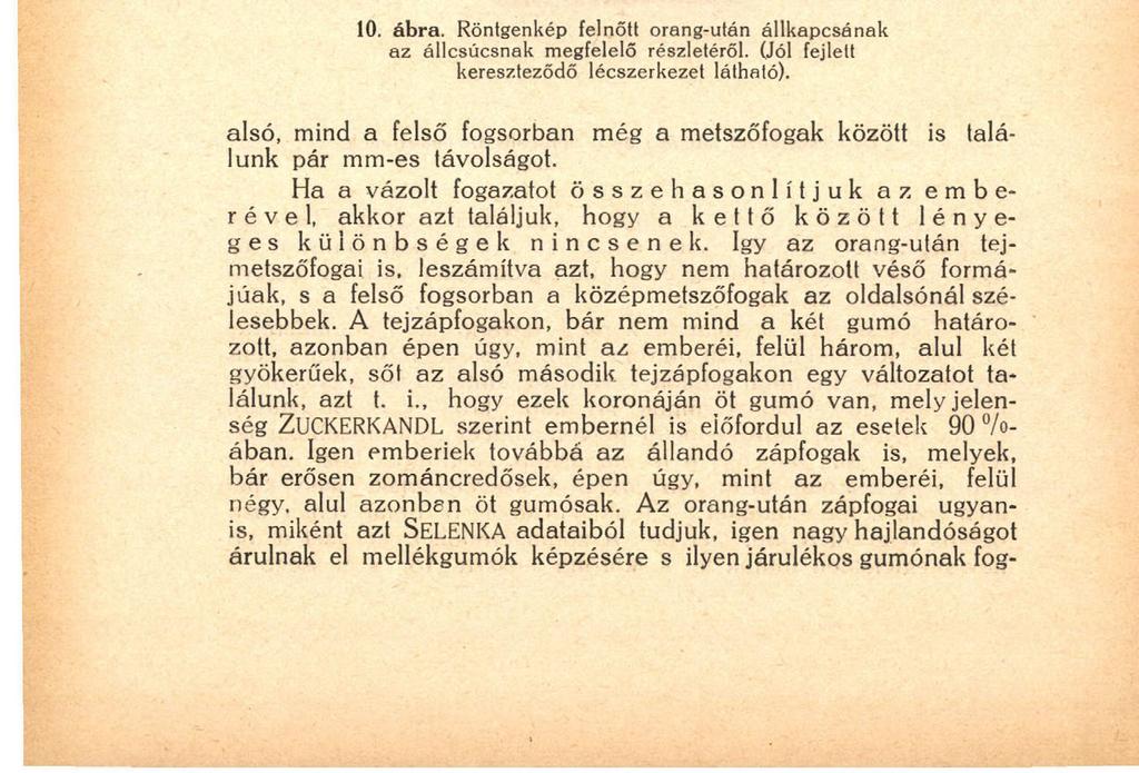 Í4Ö magassága 6, a fog hossza 13 mm. Á cingulutn.