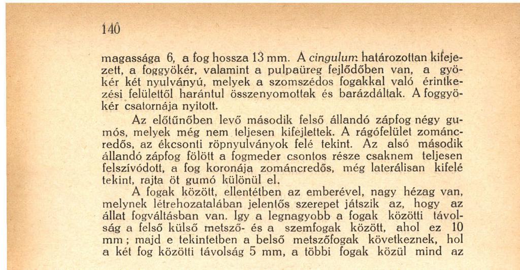 fogak közül mind az 10. ábra. Röntgenkép felnőtt orang-utón állkapcsának az állcsúcsnak megfelelő részletéről. (Jól fejlett kereszteződő lécszerkezet látható).
