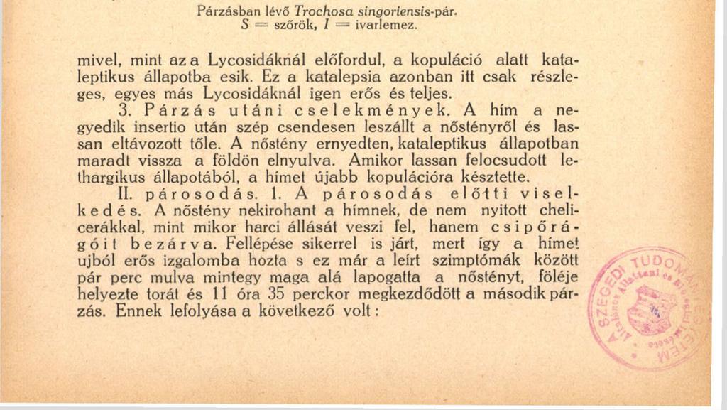 145 2. Párosodás alatti cselekmények. A párzási helyzet többé-kevésbbé megfelel a Lycosidák párzási normájának.