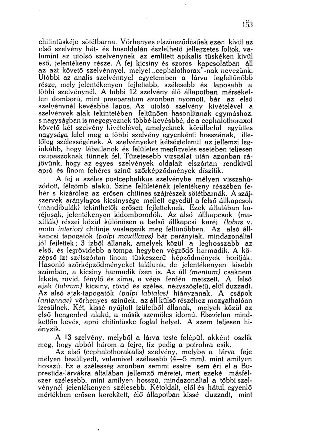 153 chitintüskéje sötétbarna.