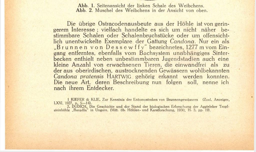 164 neue Art der Crypiocandona-Gruppe beschrieben.