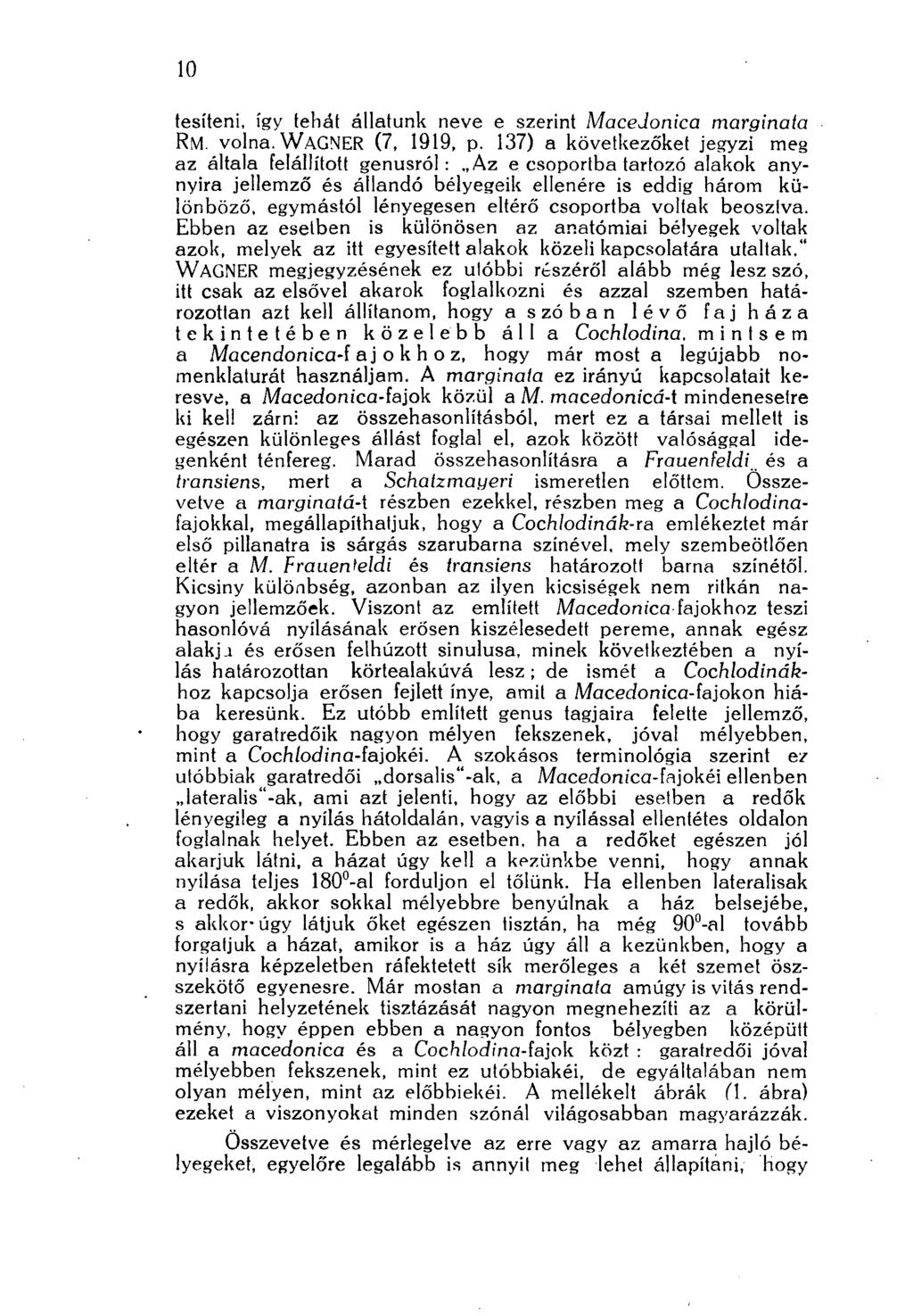 10 tesíteni, így tehát állatunk neve e szerint Macedonica marginala RM. volna. WAGNER (7, 1919, p.