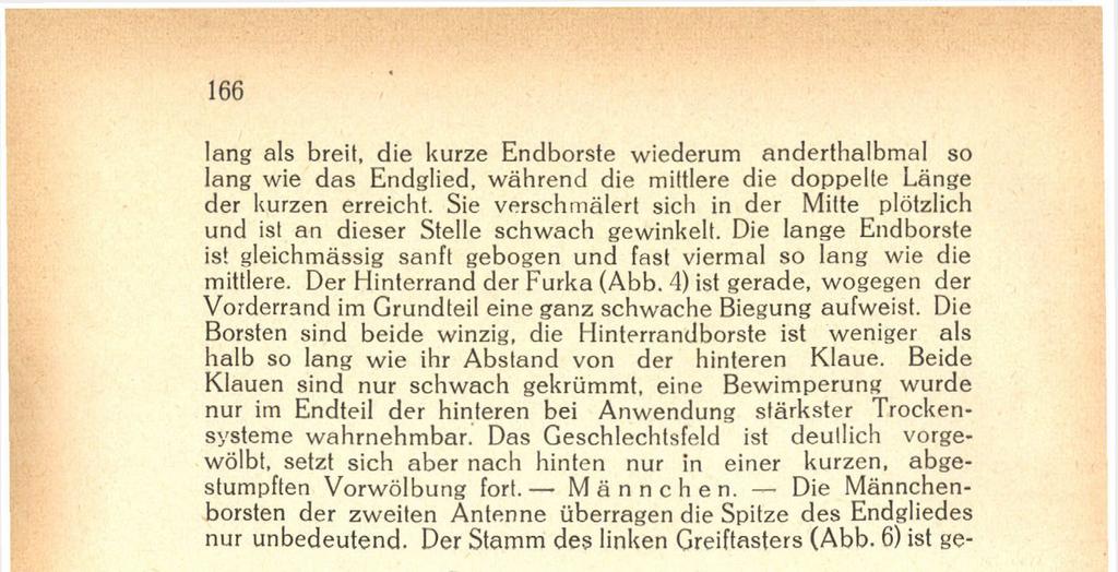Die Männchenborsten der zweiten Antenne überragen die Spitze des Endgliedes nur unbedeutend. Der Stamm des linken Greiftasters (Abb. 6) ist ge- Abb. 5. Kopulalionsorgan des Männchens. Abb. 6. Linker Greiftaster des Männchens.