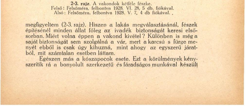 Í 75 kezésemre álló régi BREHM-ben utána olvasva, határozottan láttam, hogy BLASIUS és