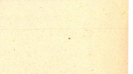 WAGNER a genus anatómia jellemzését két faj, a transiens és a Frauenfeldi ismerete alapján adja (v. ö. 6, ill. 8).