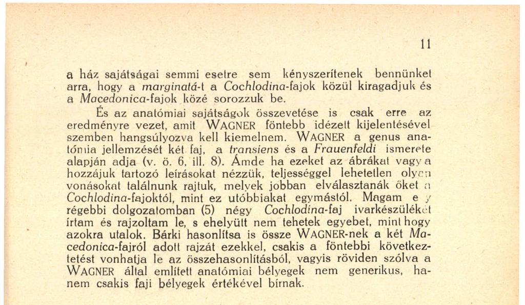 Bárki hasonlítsa is össze WAGNER-nek a két Macedonica-fajról adott rajzát ezekkel, csakis a föntebbi következtetést vonhatja le az összehasonlításból,