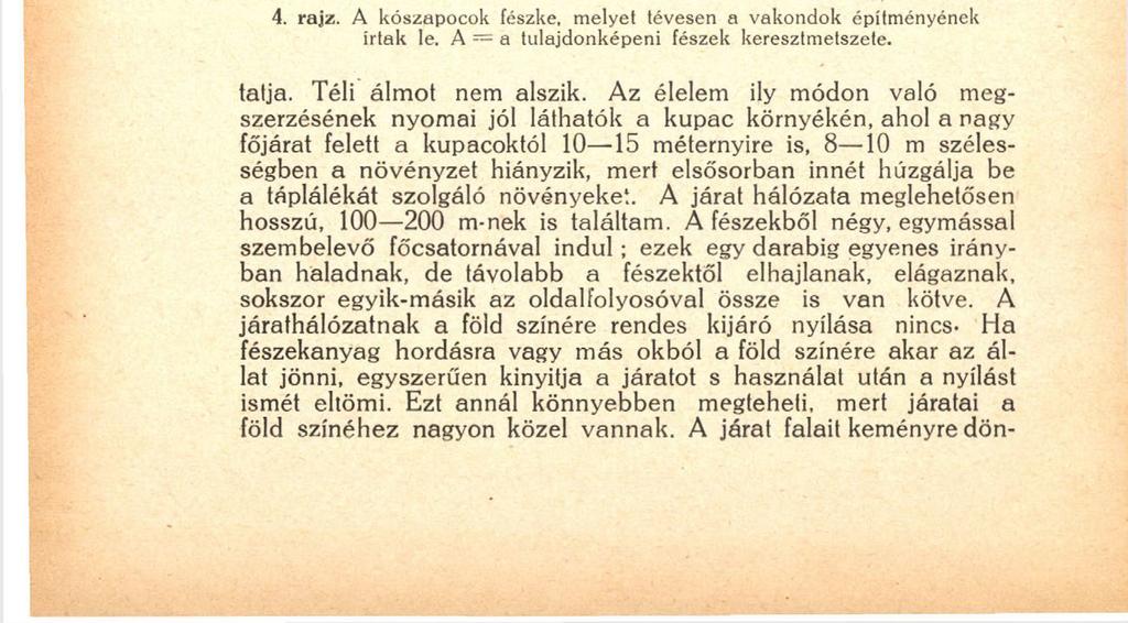 178 tel gondozza, szoptatja a gyámoltalan apróságokat.