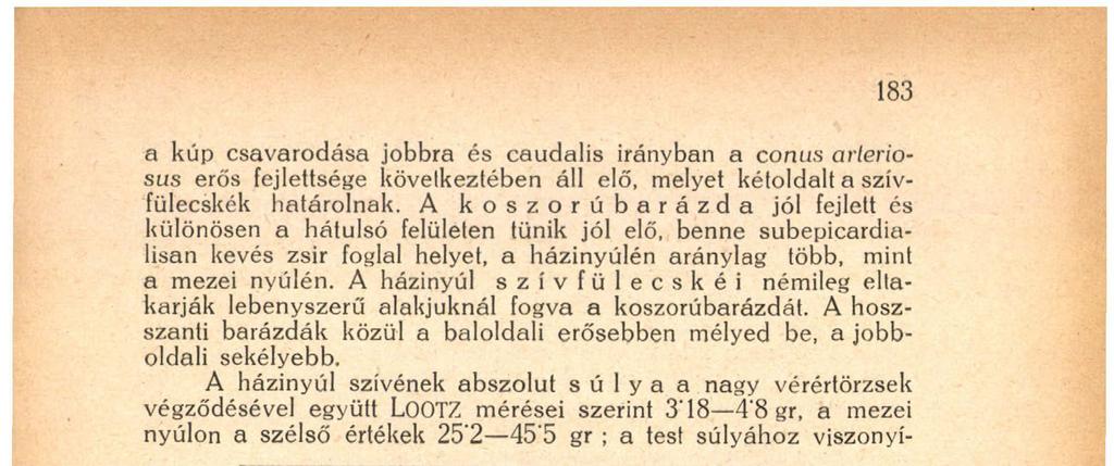 A házinyúl szívének abszolút súlya a nagy vérértörzsek végződésével együtt LOOTZ mérései szerint 3' 18 4'8 gr, a mezei