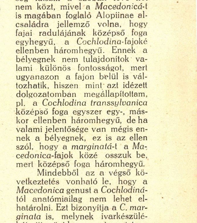 az általam megvizsgált fajok közül csak egynek van rövid nyélfüggeléke, mig a másik háromnak akkora vagy még hoszszabb, mint amekkora a párzóláskának a függeléken túli része.
