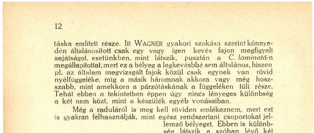 ellenben háromhegyű. Ennek a bélyegnek nem tulajdonítok valami különös fontosságot, mert ugyanazon a fajon belül is változhatik, hiszen mint azt idézett dolgozatomban megállapítottam, pl.
