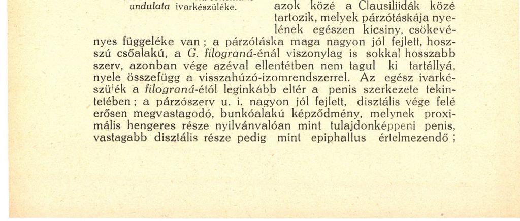18 nyiban jelent haladást a megelőzővel szemben, hogy közben megismerve több olyan faj anatómiáját is, mely WESTERLUND-nál a Graciliaria alnernben szerepel, azok rendszertani helyét is kijelölhette.