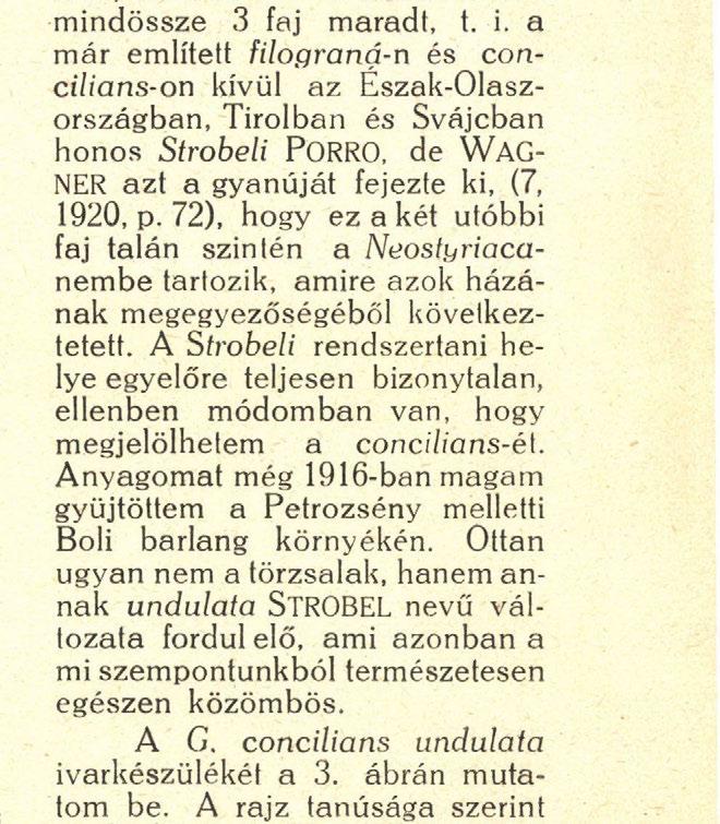 osztandó. Ugyanis a megvizsgált fajok közül kettő, а сorynodes HELD és styriaca A. S.