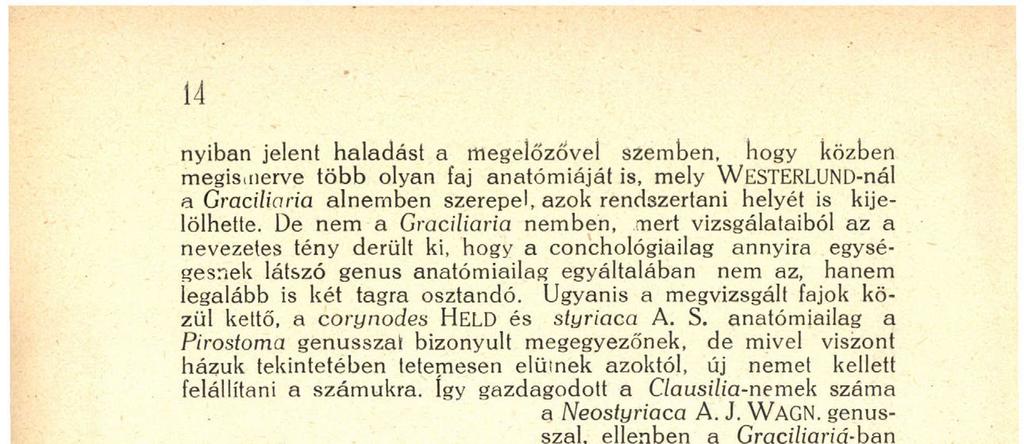 72), hogy ez a két utóbbi faj talán szintén a Neostyriacanembe tartozik, amire azok házának megegyezőségéből következtetett.