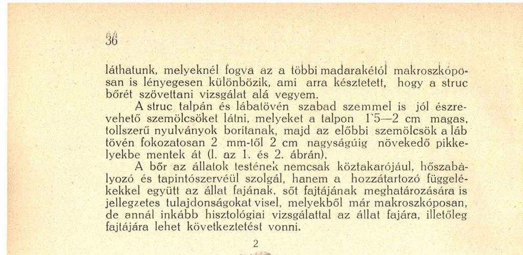 A vázolt tapasztalatokból kiindulva a struc bőréből hat testtájról (fej, szemhéj, hónalj, hát, far, talp és lábtő) kivágott darabkákat SCHAFFER-féle folyadékban való