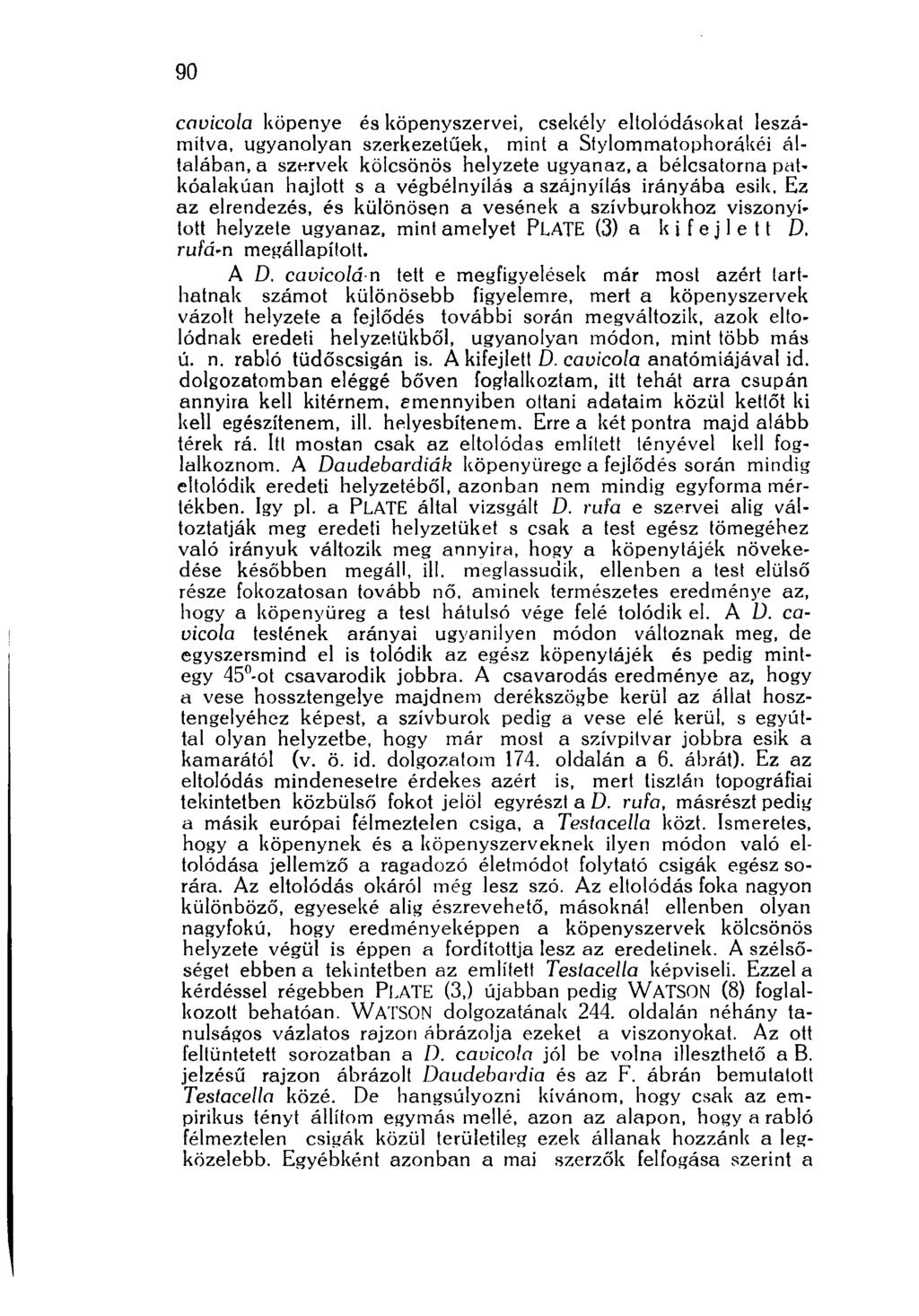 ioó cavicola köpenye és köpenyszervei, csekély eltolódásokat leszámítva, ugyanolyan szerkezetűek, mint a Stylommatophorákéi általában, a szervek kölcsönös helyzete ugyanaz, a bélcsatorna patkóalakúan
