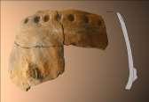 Az archaeozoológiai feldolgozást Nyerges Éva Ágnes végzi. A munkát Marton Tibor és Oross Krisztián kiterjesztette az Ásatárs Kft.