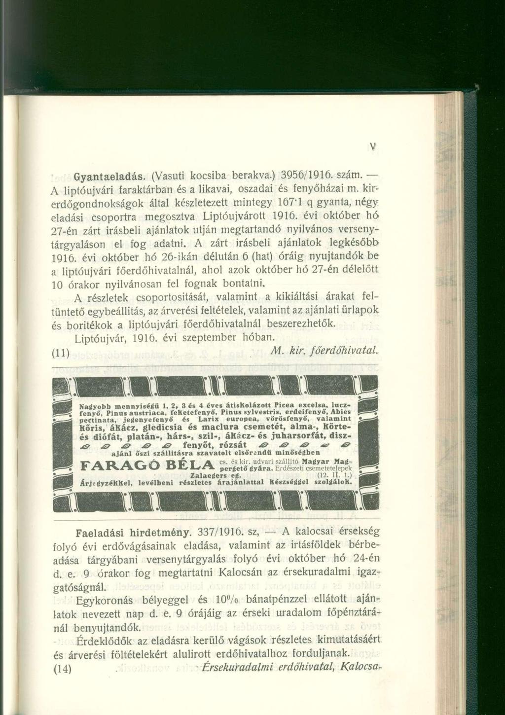 Gyantaeladás. (Vasút i kocsib a berakva. ) 3956/1916. szám. A liptóujvár i faraktárba n é s a likavai, oszada i é s fenyőháza i m.