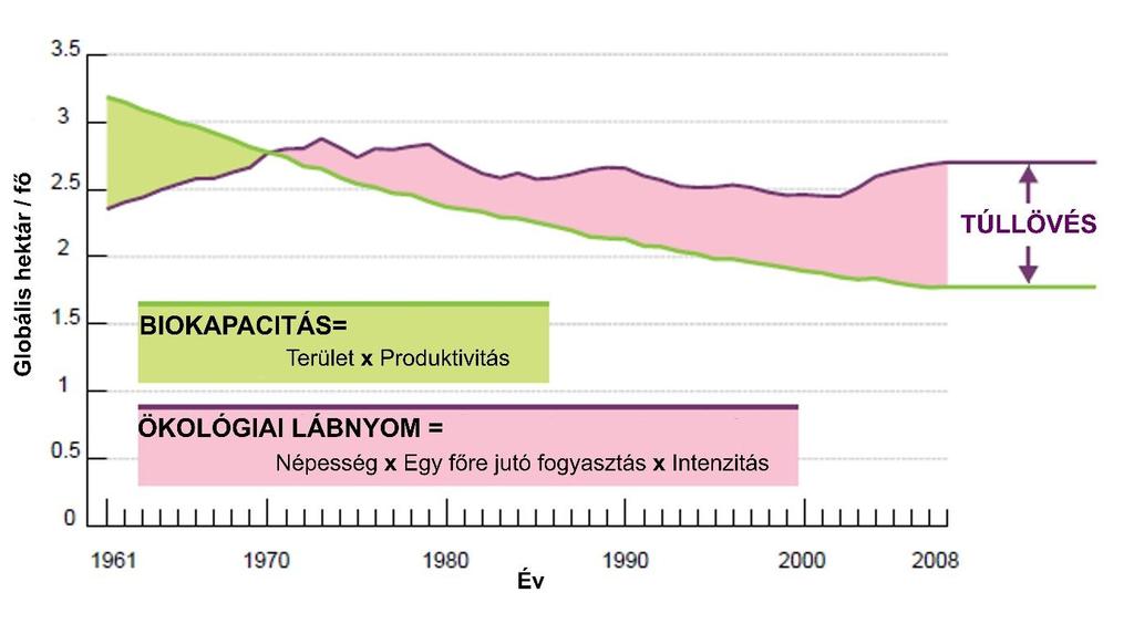 bizonyos értelemben a CO2-kibocsátás is) meghaladja a bioszféra regeneratív és abszorpciós kapacitásait.