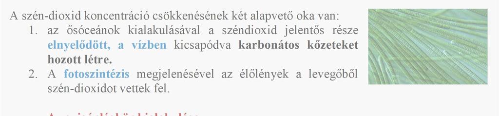 A földtörténet e kezdeti szakaszában a szén-dioxid mennyisége jelentősen meghaladta a jelenlegi értéket (egyesek a jelenlegi