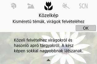 A <0> gomb megnyomásakor eltűnik a leírás, és megjelenik a gyorsvezérlés képernyő.
