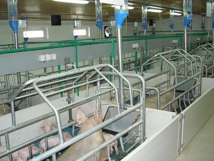 sa garantam succesul, prin experienta proprie si a