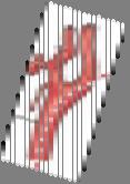 ciliares breves ramus c. albus r a m u s ramus c. griseus m.