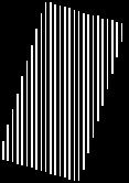 sphincter (circular m.) m.
