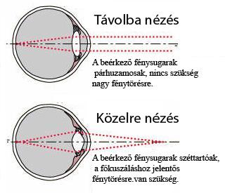 Alkalmazkodás accomodatio